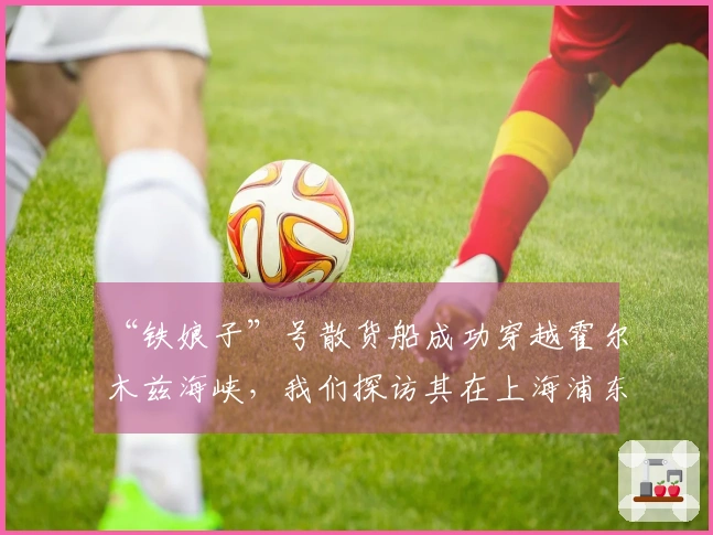 “铁娘子”号散货船成功穿越霍尔木兹海峡，我们探访其在上海浦东的管理公司